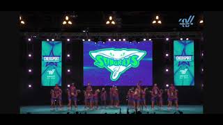 Stingray AllStars Orange Cheersport 2024 Day 2 🥇 [upl. by Koy523]