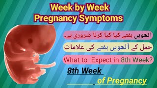 8th Week of Pregnancy  Pregnancy week by week  What to Expect in 8th week  raniababer [upl. by Moon]