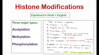 Histone Modifications [upl. by Lobell]