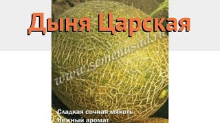 Дыня обыкновенный Царская tsarskaya 🌿 дыня Царская обзор как сажать семена дыни Царская [upl. by Arabela803]