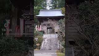 【歴史秘話ヒストリア 】若杉山遺跡 太龍寺 阿波遍路道 第二十一番札所 四国霊場八十八ヶ所巡礼 [upl. by Amieva]