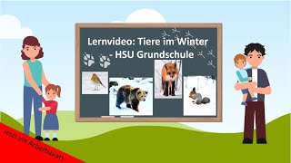 Lernvideo Tiere im Winter 🦔❄️ HSU Grundschule [upl. by Nimzaj85]