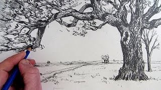 How To Draw A Tree Narrated step by step [upl. by Htennaj333]