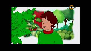 Caillou új részek  Caillou fája [upl. by Trik]