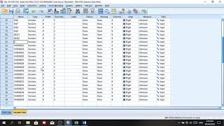 RAW BA103 RM 01 SPSS Tutorial on Descriptives Frequencies Factor Analysis and Cronbach Alpha [upl. by Akeihsal]