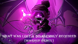 What Was Lost amp Disassembly Required Mashup Remix [upl. by Wootan]