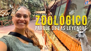 Parque de las Leyendas  Lima Zoo in 4K [upl. by Annoik]