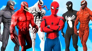 Spiderman vs Venom vs Carnage vs Anti Venom vs Toxin  Epic Simbiotes battle Multiverse of Madness [upl. by Lisk]