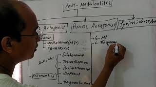 Antimetabolites antifolate purine and pyrimidine antagonists [upl. by Nnaid]