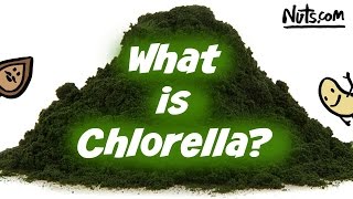 Health Benefits of Chlorella  Easy to Use Superfood [upl. by Fennelly960]