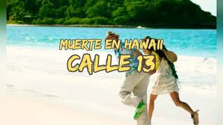 Calle 13  Muerte En Hawaii Letra [upl. by Hadwin]