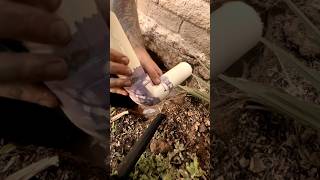 Update 2” PVC Water Main Repair with Schedule 80 Pipe  Quick Plumbing Fix asmr shorts ytshorts [upl. by Quiteris157]