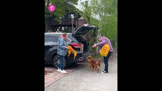 Brave dog helps pregnant woman in need shorts [upl. by Noxid938]