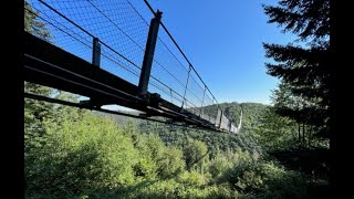 Hängeseilbrücke Geierlay  Hunsrück [upl. by Christoforo]