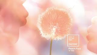 PANTONE 131023 Peach Fuzz the Pantone Color of the Year 2024 [upl. by Nickola326]