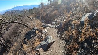 A Mountain Bike Adventure on Mt Lemmon [upl. by Conlan]