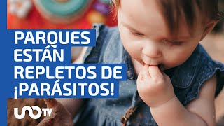 Los parques infantiles están repletos de parásitos ¿qué hacer [upl. by Aihtnic]