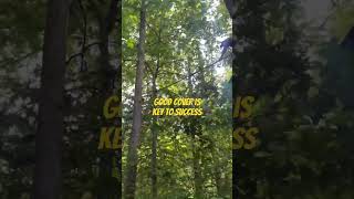 2023 TN Deer Season prep novembersouth bowhunting selfbow treestand archery [upl. by Nonarb]