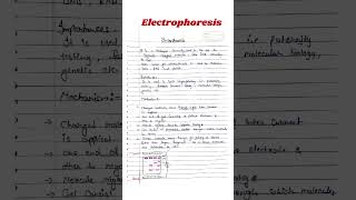 Electrophoresis  Electrophoresis Biochemistry csirnet msczoology [upl. by Agripina]