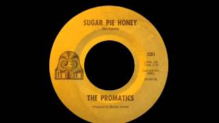 The Promatics  Sugar Pie Honey [upl. by Eclud]