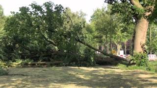 Noodweer in Kaatsheuvel en De Moer [upl. by Eddie813]