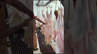 Sheep and goat skins processing sorts viralvideo [upl. by Thessa]