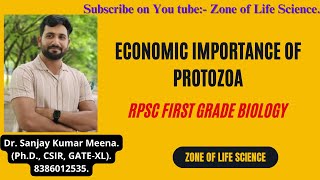 Economic importance of Protozoa For RPSC First Grade Biology Exam by Dr Sanjay Meena [upl. by Nosnevets]