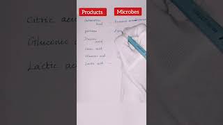 Microbial production of organic acids  microbial enzymes biology industrial [upl. by Ravens425]