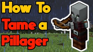 How to Tame a Pillager in Minecraft Tutorial Shorts [upl. by Ellivro]