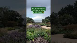 Autumn horticultural highlights in the Piet Oudolf Landscape at RHS Garden Wisley rhs gardening [upl. by Einberger]