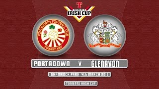 Portadown 0  5 Glenavon TIC 040317 [upl. by Ameluz435]