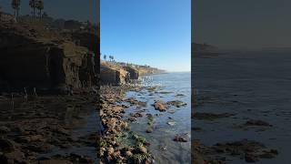 high and low tides in San Diego 🌞 travel traveldestinations sandiego california socal beach [upl. by Irak]