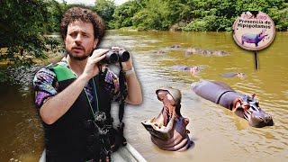 Buscando la plaga de hipopótamos de Escobar en Colombia  ¿Es real ⚠️🦛🇨🇴 [upl. by Ursula]