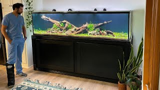 XXL NATURE AQUARIUM BUILD  FULL STEP BY STEP [upl. by Giglio]