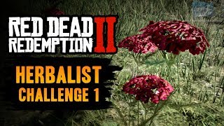 Red Dead Redemption 2 Herbalist Challenge 1 Guide  Pick 6 Yarrow [upl. by Jevon]