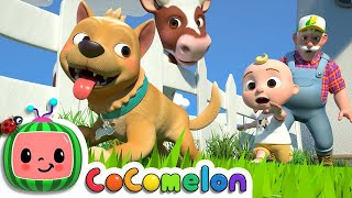 1 HOUR Bingo Farm Version  Cocomelon  Nursery Rhymes For Kids [upl. by Gorges]