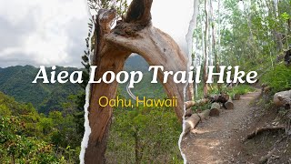 Hiking Aiea Loop Trail in Hawaii  Silent Vlog [upl. by Bottali928]