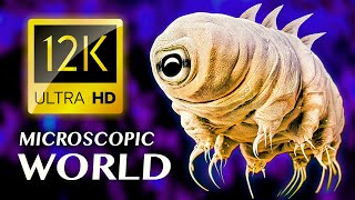 MICROSCOPIC WORLD 12K ULTRA HD [upl. by Eddy]