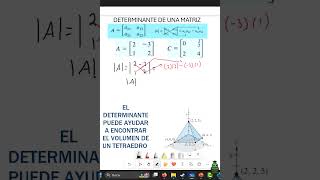 DETERMINANTE DE UNA MATRIZ 2X2 2 educación matemática [upl. by Xonnel]