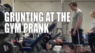 GRUNTING AT THE GYM PRANK [upl. by Cappella11]