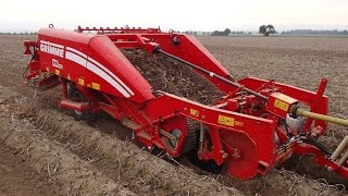 GRIMME WR 200  Windrower for potatoes  2row [upl. by Nojad677]