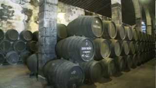 Sherry Wine of Andalucía [upl. by Aivatnohs]