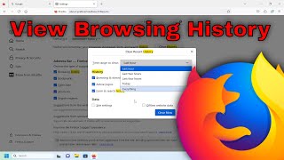 How to View Browsing History in Mozilla Firefox Guide [upl. by Arten]