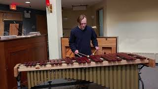 Auld Lang Syne Variations on Marimba by Mike Dettra [upl. by Wyon]