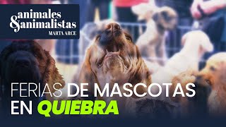 Ferias de mascotas abocadas a la quiebra [upl. by Nyladnor907]