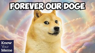 RIP Doge Kabosu the Beloved Shiba Inu of the Doge Meme Has Crossed The Rainbow Bridge [upl. by Southworth]