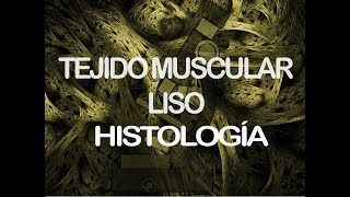 Músculo liso  Histología [upl. by Lajes978]