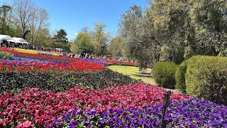 Flower Festival Floriade Canberra flower festival floriade canberra viralfoodtrip video [upl. by Klatt309]