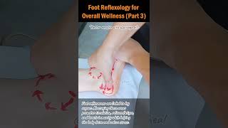 Foot Reflexology for Overall Wellness Part 3 footreflexology stressrelief naturalhealing [upl. by Sussna]