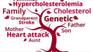 Familial Hypercholesterolemia [upl. by Parthinia17]